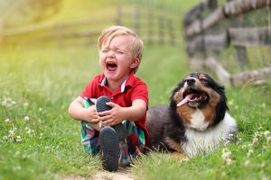 Schmerzen bei Hund und Mensch